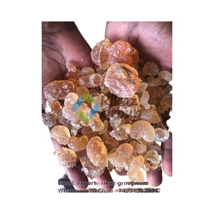 Gomme 100% de haute qualité Acacia arabe séché et abordable Prix du Soudan Gomme Arabe Traitement Agriculture Direct vers la Chine - Product Image 1