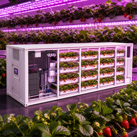 Conteneur de culture verticale de fraises conçu pour la production de baies fraîches et l'agriculture hydroponique commerciale