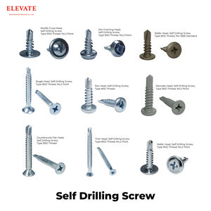 Vis autoperceuses polyvalentes pour projets de construction multi-usages - Product Image 1