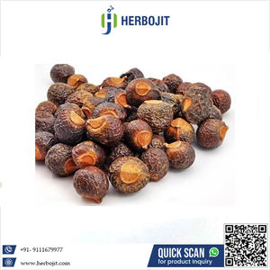Herbojit International, Extracto Herbal de Reetha (Bola de Jabón India) 100% Puro de Alta Calidad, Extracción por Solvente, Suministro a Granel, Confiable - Product Image 6