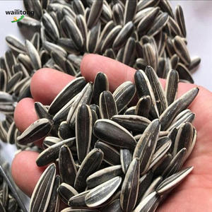 เมล็ดทานตะวันถั่วเมล็ดทานตะวัน - Product Image 6