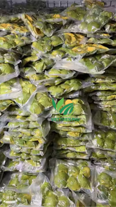 Aguacate congelado IQF de alta calidad de Vietnam-Aguacate congelado fresco-Puro, nutritivo y delicioso-Embalaje a granel - Product Image 6