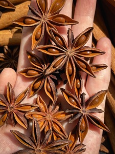 Anís estrellado crudo AD de alta calidad, seco por la primavera, condimento con 18 meses de duración de vida útil - Máx. - Product Image 2