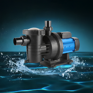 Pompe à chaleur pour piscine en acier inoxydable, haute pression, 1 CV, SMP, vente en gros, prix usine, avec filtre - Product Image 2