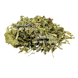 Hojas de diente de león a base de hierbas de calidad más vendida de Vietnam Fruta seca a granel conservada natural para la salud - Product Image 5