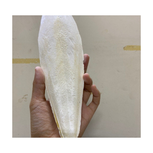 ปลาหมึกล้างสำหรับกระดูกปลาหมึกสัตว์เลื้อยคลานแห้งสำหรับของเล่นนก-ผงกระดูกซีเปียจากเวียดนาม /ms.thi - Product Image 3