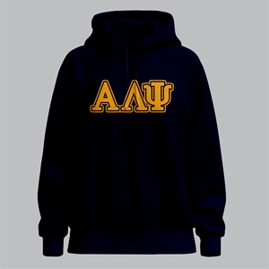 Custom Streetwear High Quality Alpha Lambda Psi Soror Embroidery Women Hoodie Long Sleeve <b>Drop</b>-shoulder hoodies for woman - Product Image 3