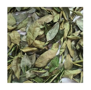 Feuilles de corossol séchées de qualité, traitées sous des conditions contrôlées, assurant un aspect propre et une texture uniforme - Product Image 1