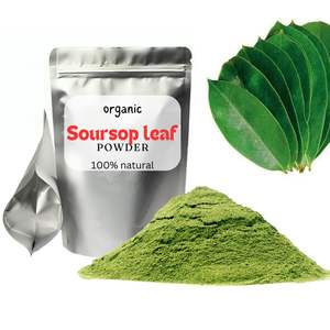 Poudre de feuilles de corossol en vrac: directement du Vietnam au monde - Product Image 4