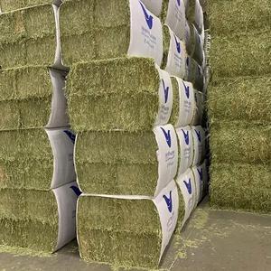 Direct Factory Price High Quality Alfalfa Hay for Horses Cattle Pigs Chicken-Bulk Wholesale Animal <b>Feed</b> Stuff Alfalfa hay - Product Image 6