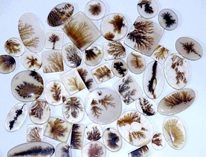 Agate dendritique Shazar meilleure vente cabochon naturel pierre précieuse en vrac lisse et en vrac offert - Product Image 4