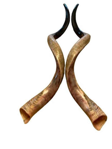 Cuerno de Shofar Artesanal de Israel, Diseño Auténtico con Acabado Semi-Pulido, Ideal para Ceremonias Religiosas y Colecciones - Product Image 2