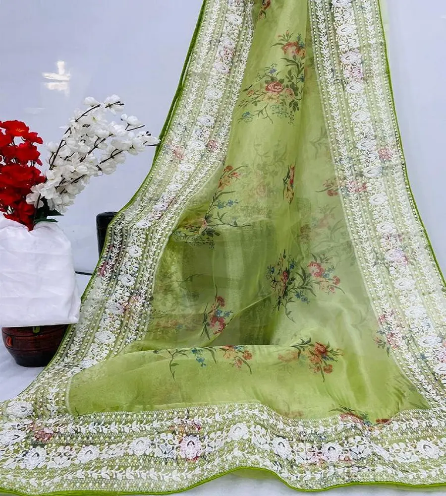 Pista luchnomi chikan-Saree de seda de Organza, elaborado con patrones de tejido tradicional