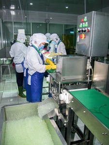 Suministro a granel de pudín orgánico de aloe vera ideal para cadenas y distribuidores de té de burbujas - Product Image 2