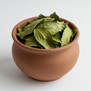 Hojas de Guanábana puras y secadas al sol, seleccionadas a mano para la máxima frescura y rico aroma - Product Image 6