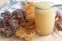 PREMIUM SEAMOSS JAM / HEALTHY DIGESTION / CLEAN LABEL / VEGAN-FRIENDLY