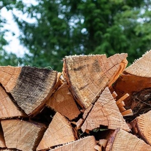 Briquettes de bois de chauffage de haute qualité séchées au four en provenance de Californie, en vrac, en sacs - Chêne, frêne, pin, bouleau, emballage personnalisé - Product Image 1