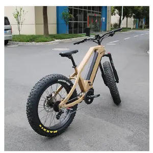 브랜드 새로운 빠른 48V 20Ah 먼지 ebike 전기 자전거 1000W 48V 미드 드라이브 전기 자전거 판매