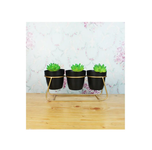 Mini jardinière succulente avec support en métal or naturel brillant poli décoration de jardin pot de fleur articles de décoration pour la maison - Product Image 6