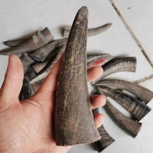 Pointe de corne de buffle naturelle polie, artisanat fait main, fournitures - Product Image 4