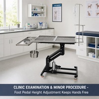 Table d'opération vétérinaire hydraulique ultra-compacte en acier inoxydable professionnel avec pédale pour clinique vétérinaire et chirurgie