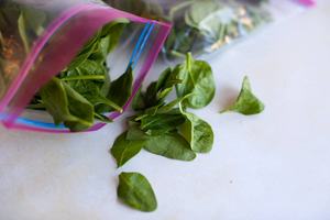 Puré de espinaca natural congelado/rico en nutrientes/etiqueta limpia/respetuoso con los veganos - Product Image 4