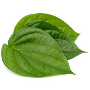 Offre Spéciale!!! Feuille de BETEL fraîche du VIETNAM avec la meilleure qualité et le meilleur prix pour la vente en gros - Product Image 1