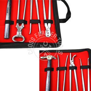 Kit d'outils de maréchal-ferrant en acier inoxydable vente en gros 10 couteaux de coupe de sabot avec boucle et crochet, tampon de coupe intelligent, arrache-ongles - Product Image 5