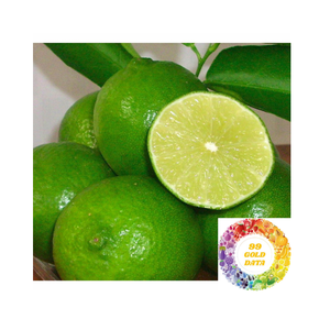 High Quality <b>Fresh</b> Green Limes Newest Crop Citrus <b>Fruit</b> Premium Taste And Best Price For Bulk Export Sales And Global Markets - Product Image 1