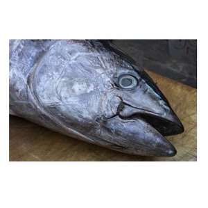 Atún congelado Premium capturado en estado salvaje, certificado Halal y congelado a-40 °C para máxima frescura - Product Image 3