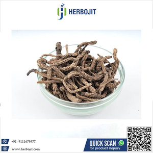 100% Pure Natural Picrorhiza Kurrooa (Kutaki) Poudre 5kg Haute Qualité Herbojit International - Product Image 6