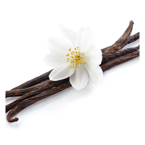 ถั่ววานิลลา - Product Image 4