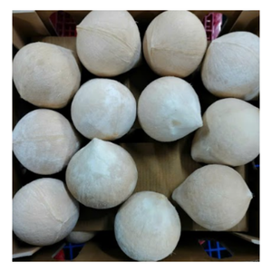 Vente en gros de jeunes noix de coco fraîches, couvercle facile à ouvrir pour une utilisation pratique - Product Image 1