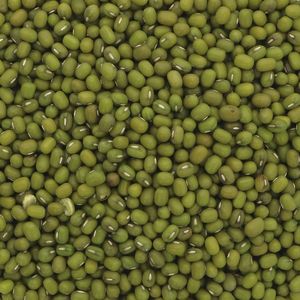 Premium Mung Beans Bulk Wholesale High Quality Fresh <b>Food</b> Grade Non GMO Natural Mung Beans for Sale - Product Image 2