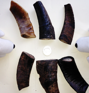 Masticables de Cuerno de Cabra Genuinos, Alimento de Cabra de Primera Calidad y Cuerno para Masticar de Larga Duración, Mejor Precio - Product Image 2