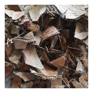 Fourniture en vrac de coquille crue de noix de coco pour le charbon de bois, articles de jardin uniques, artisanat écologique, accessoires d'intérieur, projets d'art créatif - Product Image 1