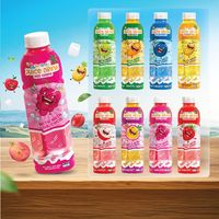 Fabricante de Bebidas de Frutas Mixtas en Botella PET de 500 ml con Nata de Coco Sun Smile Vietnam, Servicio OEM ODM de Marca Privada