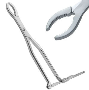 Stainless Steel Bone Holding Forceps Veterinary <b>Orthopedic</b> <b>Surgical</b> <b>Instruments</b> for Animal Bone Fixation - Product Image 4