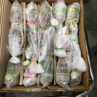 Fournisseur en gros de homards bleus entiers congelés d'eau douce, transformés BQF, emballés sous vide, 10 kg/carton, Thaïlande, 1,2 cm, pour sushi