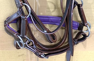 Bride sans mors de qualité supérieure en cuir rembourré souple Western Equestrian Sidepull Headstall Prix imbattable pour l'équitation - Product Image 6