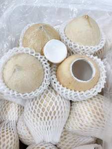 Nouvelle récolte 2026 Noix de coco entière polie Coco Fresco Pulido TINIMEX Origine Ben Tre Durée de conservation de 40 jours pour les importateurs - Product Image 6