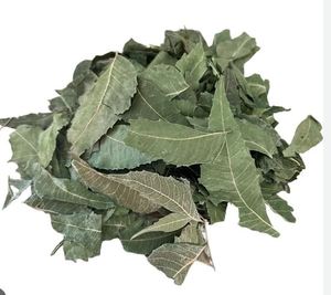 Hojas Secas de Neem Indio Más Vendidas en Corte para Té, Proveedor de Hojas Secas de Neem para Extracto Herbal - Product Image 2
