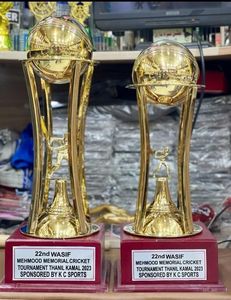 Stainless Steel Sports <b>Trophy</b> <b>Cup</b> Customized Achievement Award Display Durable Premium Quality - Product Image 3
