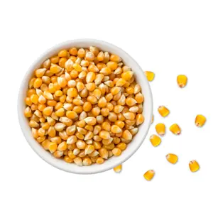 Белая кукуруза/кукуруза (NON GMO) для потребления человеком