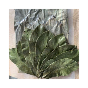 Graviola ชาใบแห้งสมุนไพรแพ็คจำนวนมากชาใบหลวมรสชาติชาใบ annona muricata - Product Image 2