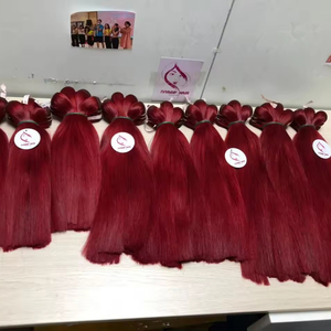 Super Double-Drawn 99J Couleur Trame Cheveux Extension 100% Vierge Vietnamien Cheveux Humains Bundle Haute Qualité et 100% Cheveux Humains - Product Image 1