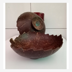 Bol rustique en coquille de noix de coco, 100% naturel et biodégradable, idéal pour les repas durables, les salades, la décoration intérieure éco-chic pour vert - Product Image 2