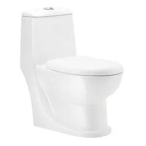 Werksverkauf Keramik Badezimmer Einteilige randlose Spülung Wassers chrank Wasch toilette mit Zyklons pül system Kommode Pfanne
