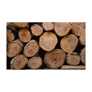 Leña a granel merbau lista para envío a distribuidores y compradores comerciales - Product Image 6