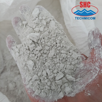 Harga Pabrik Bubuk Kapur Tawar 90%-97% CaO 180-200 Mesh untuk Pertambangan Emas, Nikel, Pengolahan Air Limbah, Asal Vietnam |   Grup SHC